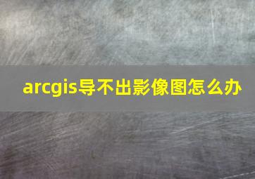 arcgis导不出影像图怎么办