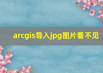 arcgis导入jpg图片看不见