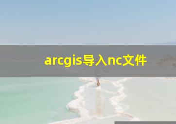 arcgis导入nc文件