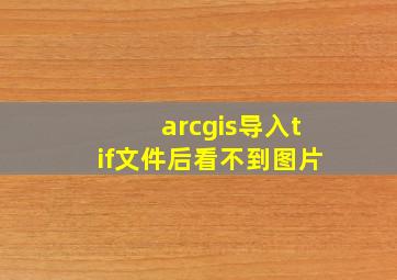 arcgis导入tif文件后看不到图片