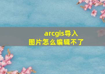 arcgis导入图片怎么编辑不了