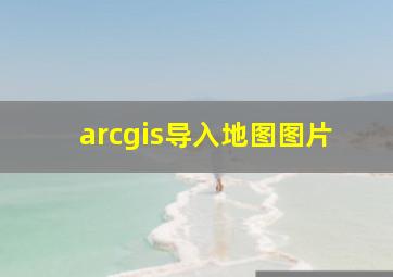 arcgis导入地图图片