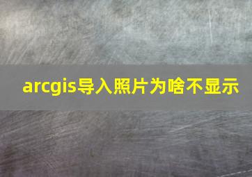 arcgis导入照片为啥不显示