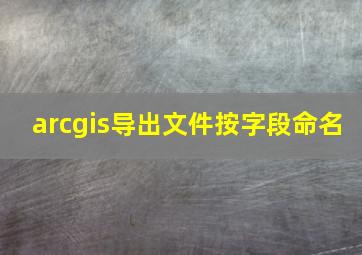 arcgis导出文件按字段命名