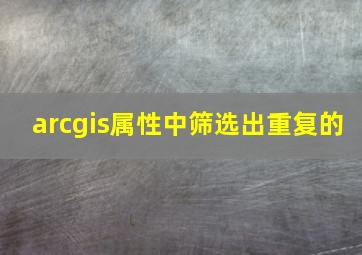 arcgis属性中筛选出重复的