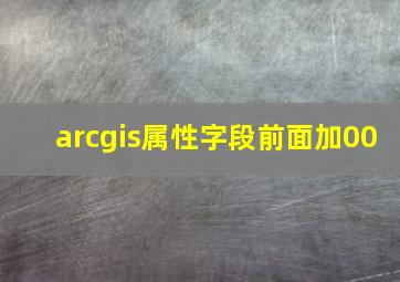 arcgis属性字段前面加00