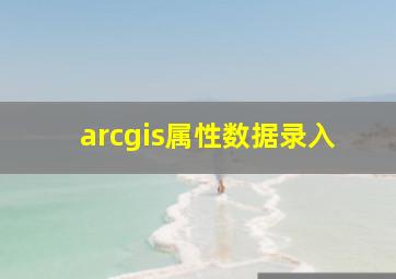 arcgis属性数据录入