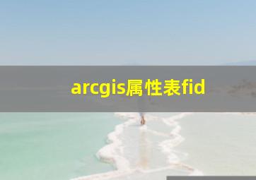 arcgis属性表fid