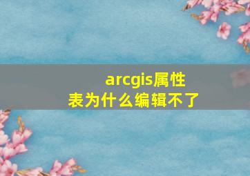 arcgis属性表为什么编辑不了