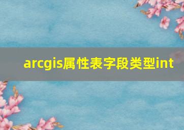 arcgis属性表字段类型int