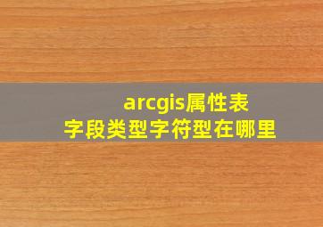 arcgis属性表字段类型字符型在哪里