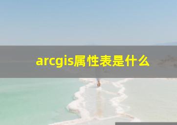 arcgis属性表是什么