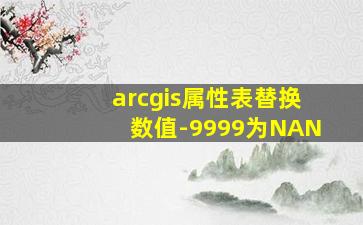 arcgis属性表替换数值-9999为NAN