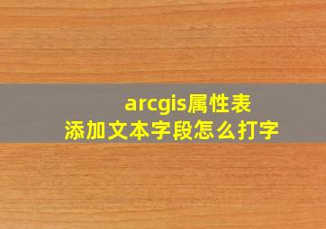 arcgis属性表添加文本字段怎么打字