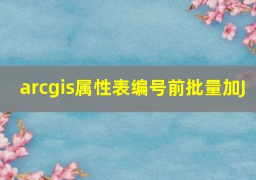 arcgis属性表编号前批量加J