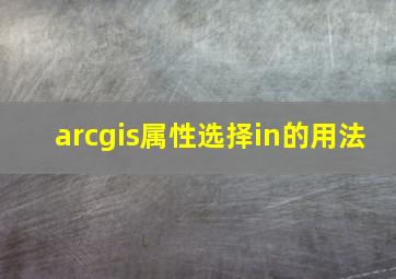 arcgis属性选择in的用法