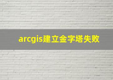 arcgis建立金字塔失败