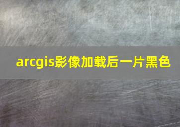 arcgis影像加载后一片黑色