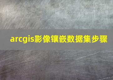 arcgis影像镶嵌数据集步骤