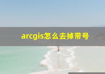 arcgis怎么去掉带号