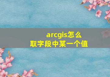 arcgis怎么取字段中某一个值