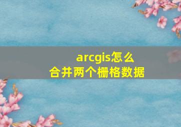 arcgis怎么合并两个栅格数据