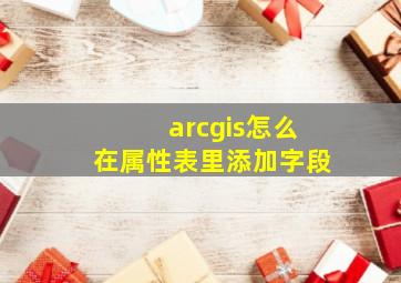 arcgis怎么在属性表里添加字段