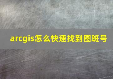 arcgis怎么快速找到图斑号