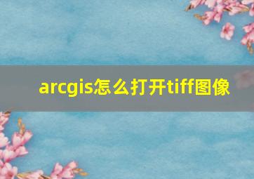 arcgis怎么打开tiff图像