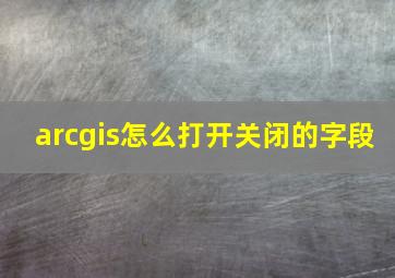 arcgis怎么打开关闭的字段