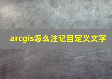 arcgis怎么注记自定义文字