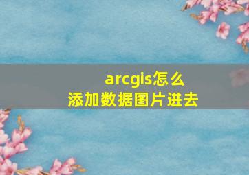 arcgis怎么添加数据图片进去