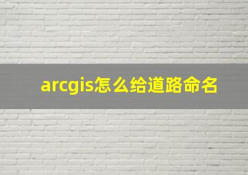 arcgis怎么给道路命名