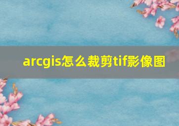 arcgis怎么裁剪tif影像图