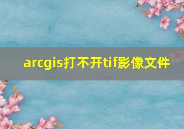 arcgis打不开tif影像文件