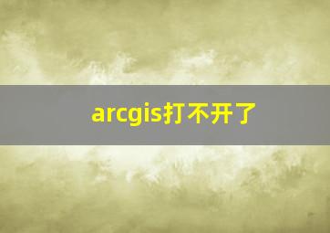 arcgis打不开了