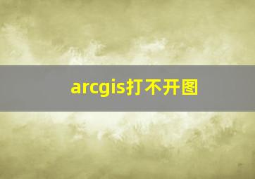 arcgis打不开图