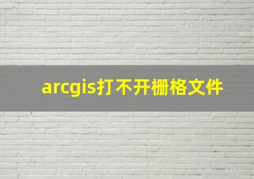 arcgis打不开栅格文件