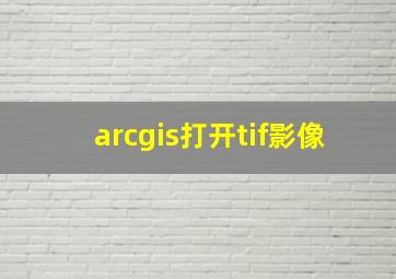 arcgis打开tif影像