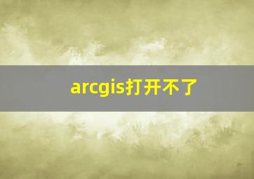 arcgis打开不了