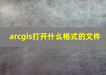 arcgis打开什么格式的文件