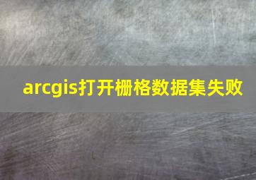 arcgis打开栅格数据集失败