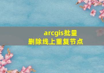 arcgis批量删除线上重复节点