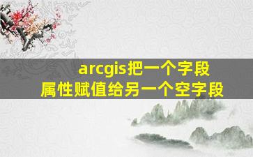 arcgis把一个字段属性赋值给另一个空字段