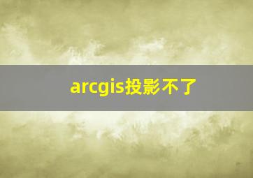 arcgis投影不了