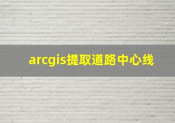 arcgis提取道路中心线