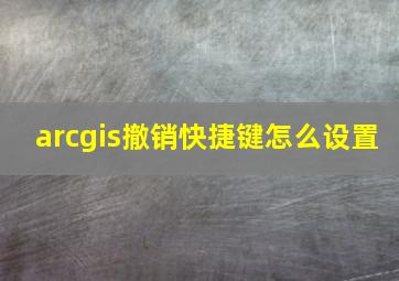 arcgis撤销快捷键怎么设置