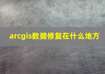 arcgis数据修复在什么地方