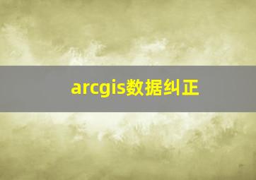 arcgis数据纠正