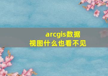 arcgis数据视图什么也看不见